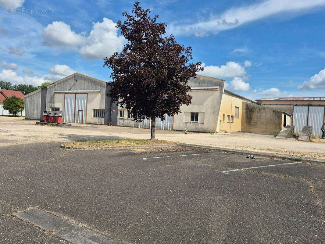 Bâtiment Industriel avec bureaux  et hangars de 2200 m2 + Maison de 250 m2 sur 12000 m2 de Terrain - photo 6