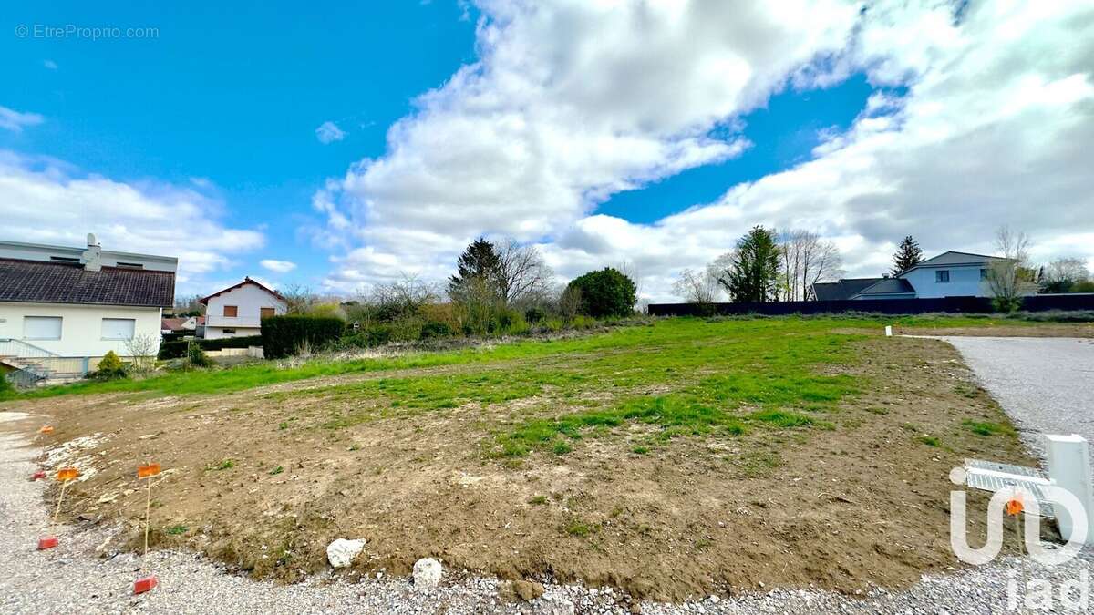 Terrain 981 m² à Montferrand-Le-Chateau  - photo 4