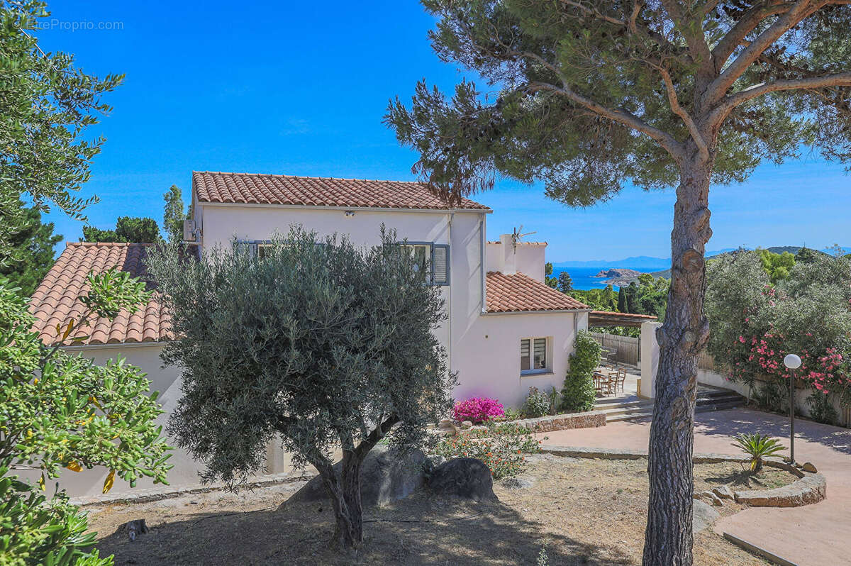 Marine de Davia Villa 7 pièce(s) 200 m2 avec vue mer et piscine - photo 5