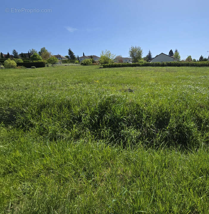 Terrain à LE VERNET