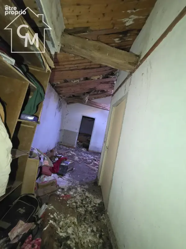 Maison à rénover entièrement avec dépendances et terrain - photo 25