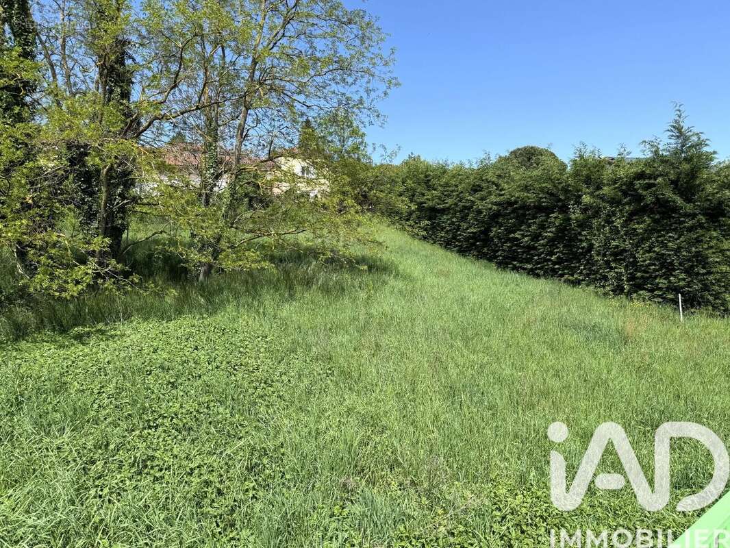 Photo 2 - Terrain à THURINS
