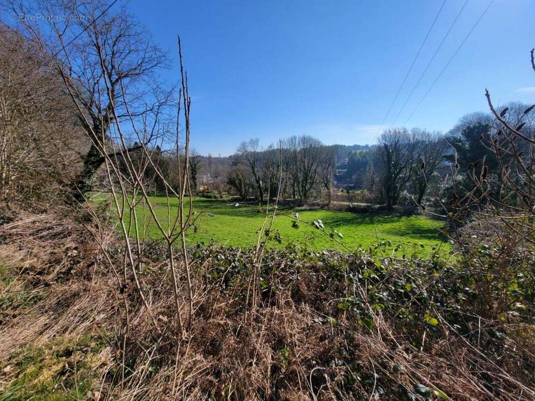 Terrain 12627 m² à Gourin  - photo 2