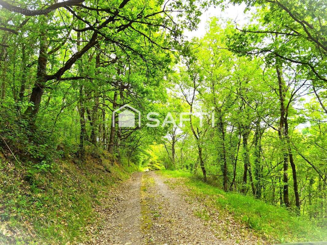 Photo 3 - Maison à LE GRAND-PRESSIGNY