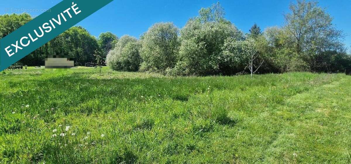 Photo 3 - Terrain à SOUEICH