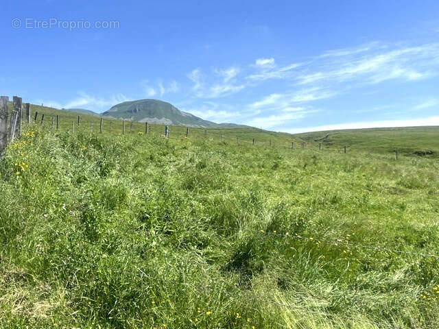 En exclusivité   Picherande, maison à rénover avec grange, écurie et vue sur le lac Chauvet - photo 7