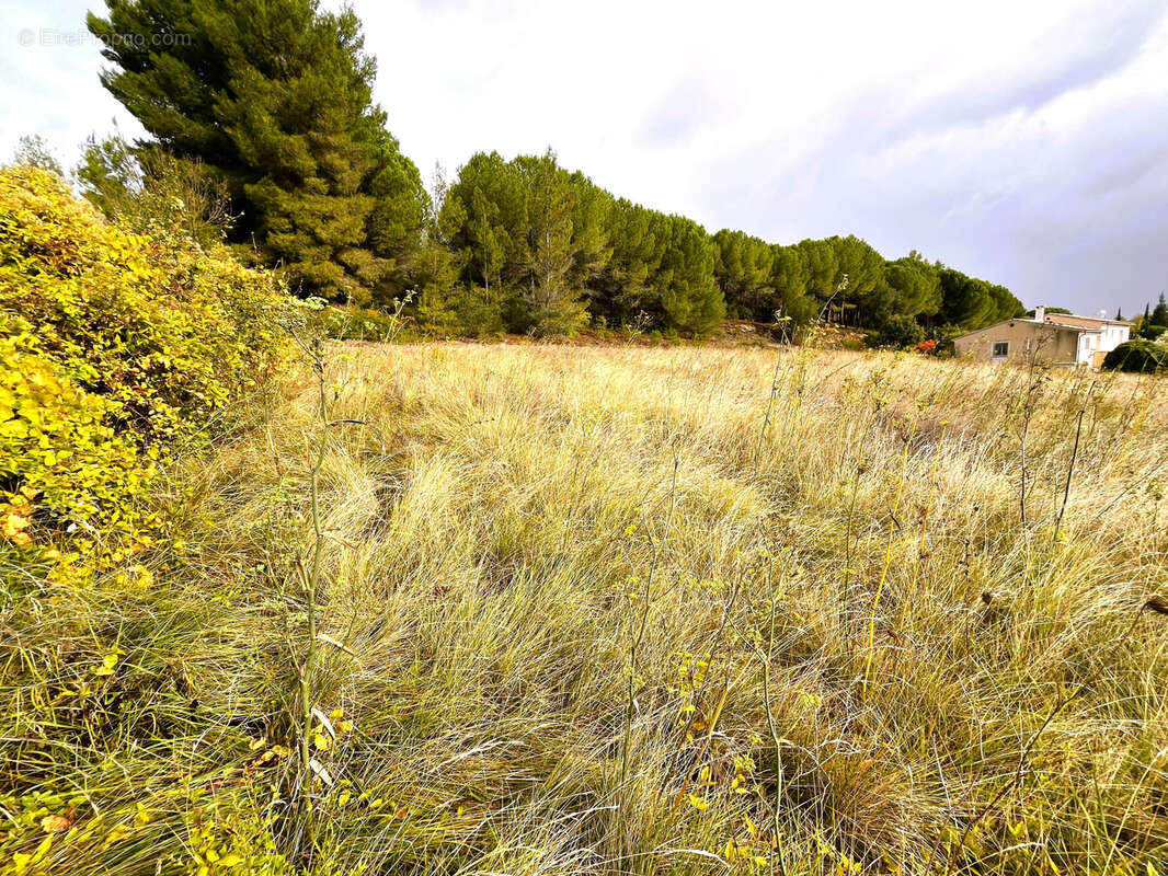 Terrain à LA DIGNE-D'AMONT