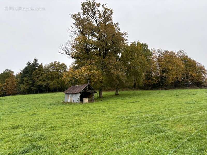 Maison ancienne avec grange et dépendances – Laroche-l’Abeille (87) - photo 28
