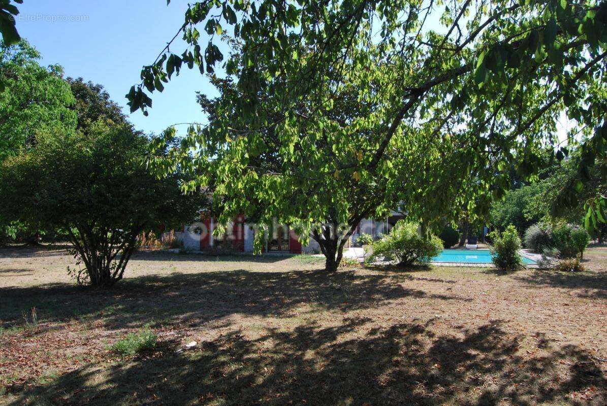 Belle maison familiale de plain pied de 140m2 avec piscine - photo 2