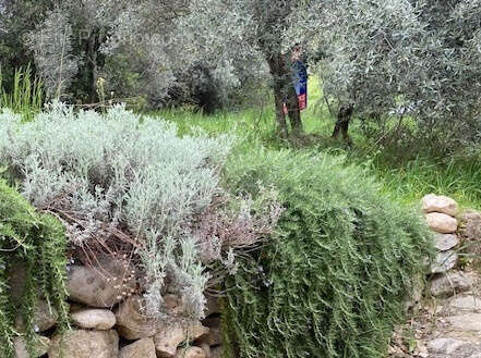 A vendre  proche commodités  peyruis terrain de 1285 m2 baisse de prix - photo 8