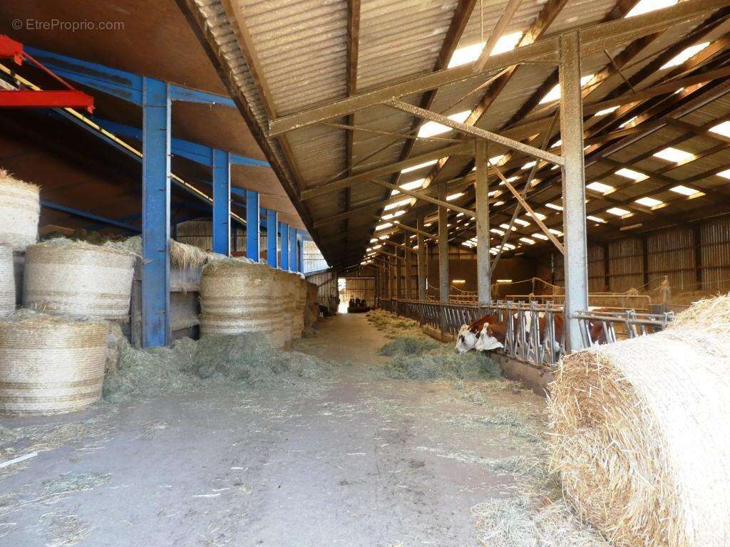 Exploitation agricole - photo 12