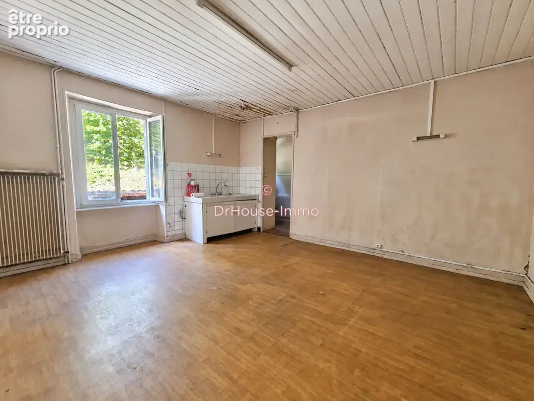 Appartement 220 m² à L'isle-Sur-Le-Doubs  - photo 8