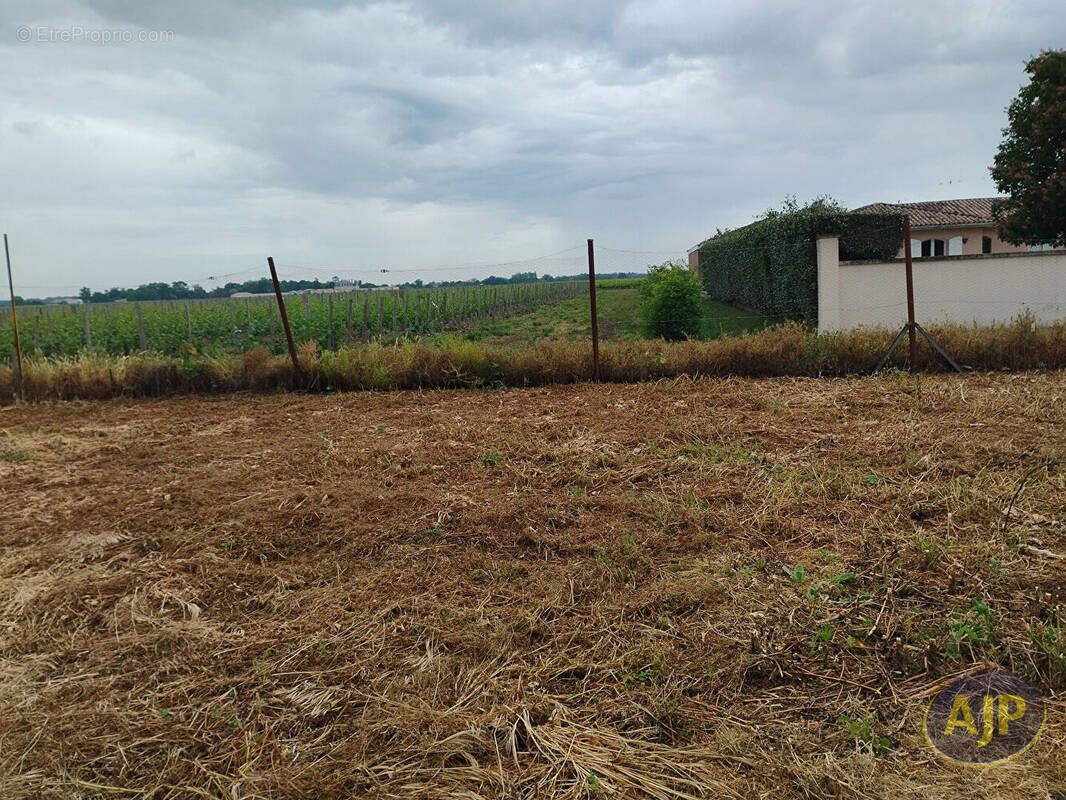 Terrain à PAUILLAC