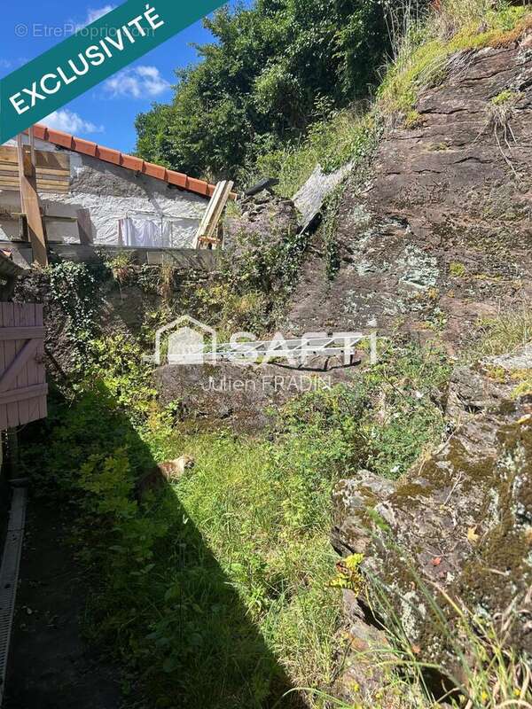 Photo 9 - Maison à MAUVES-SUR-LOIRE