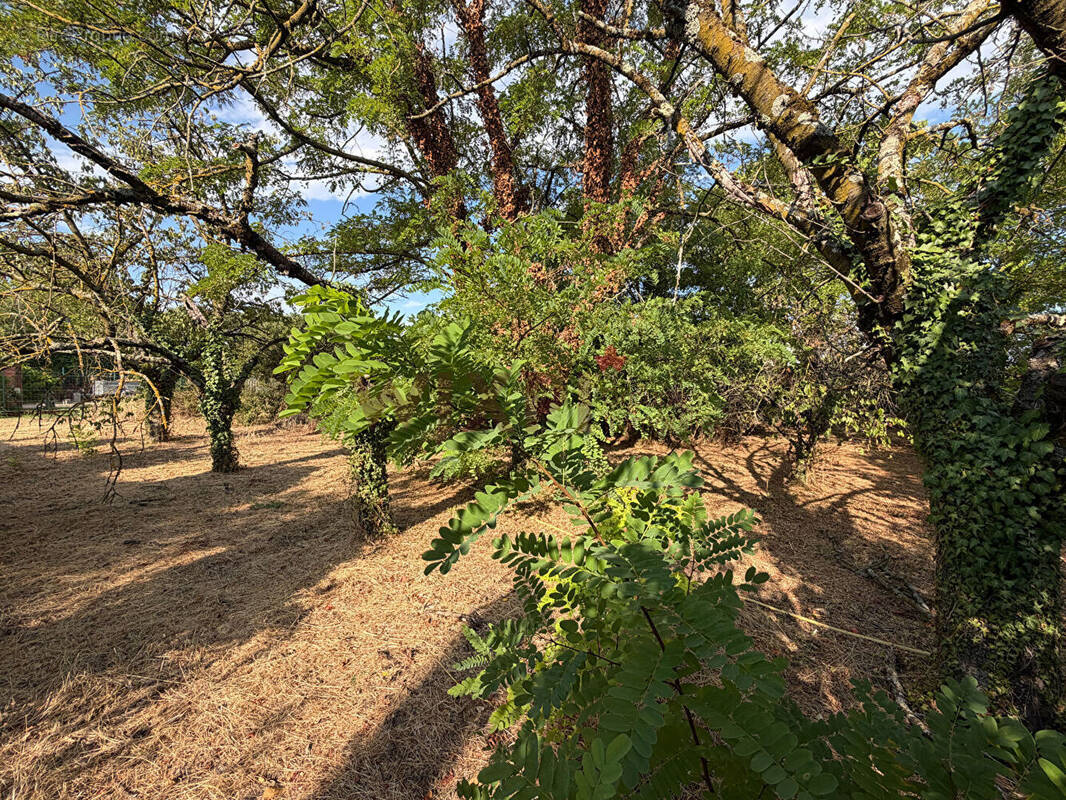 Terrain à CHABEUIL