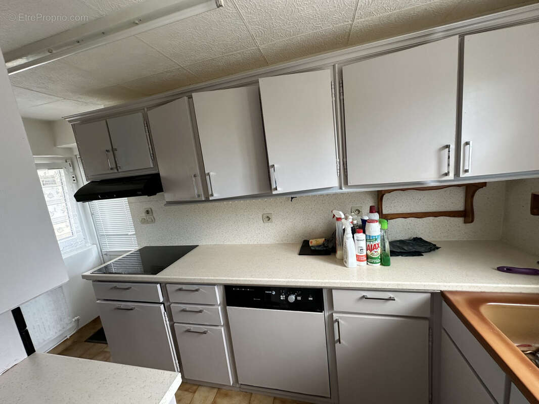 Superbe propriété Type 8 dépendances de 200 m2 sur 4100 m2 de terrain - photo 3