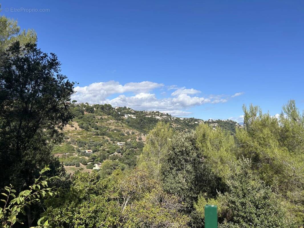 Terrain à NICE