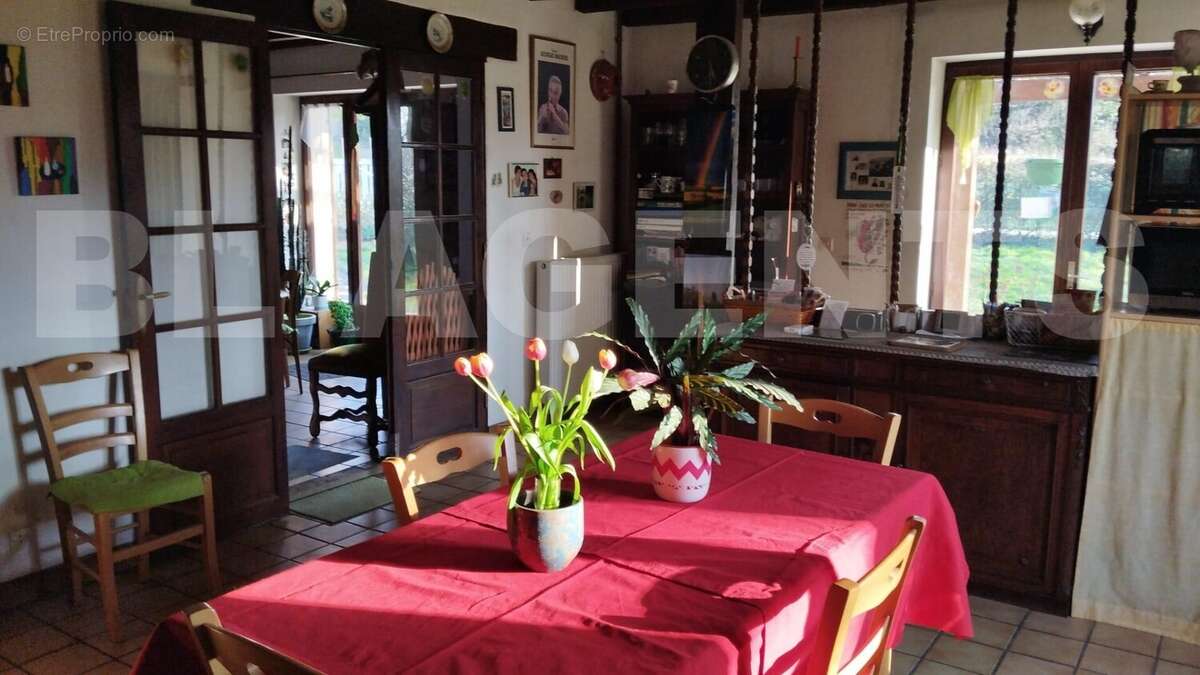 IMG-20250314-WA0047 - Maison à SAINT-SULPICE-LES-FEUILLES