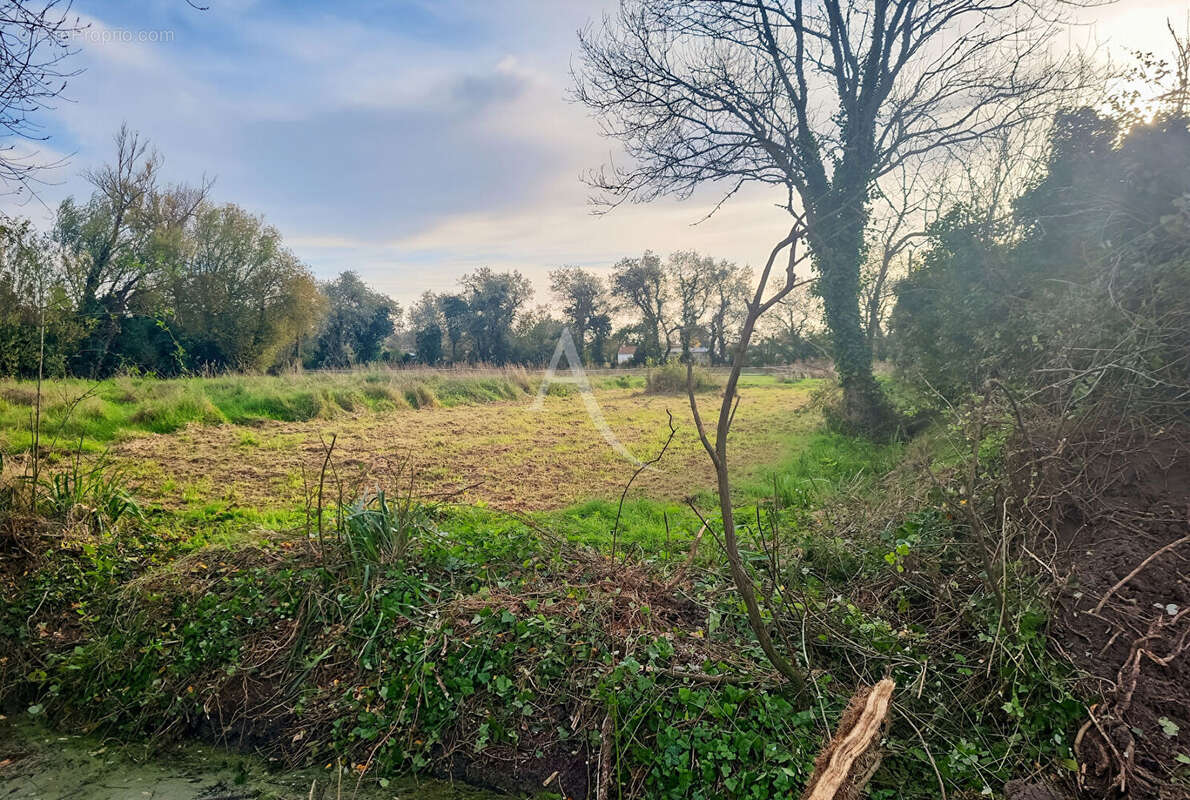 Maison à NOTRE-DAME-DE-MONTS