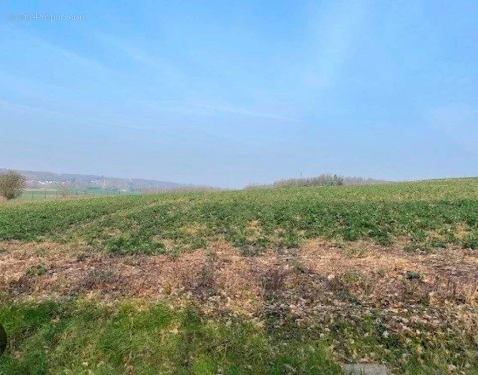 Terrain à SAINT-AMAND-LES-EAUX