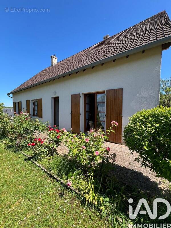 Photo 1 - Maison à SAINT-FLORENT-SUR-CHER