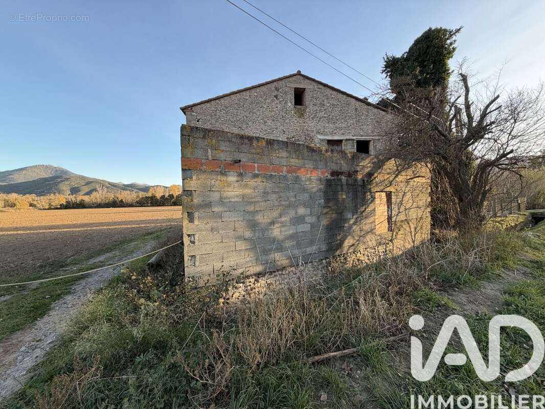 Photo 4 - Maison à SAINT-JEAN-PLA-DE-CORTS