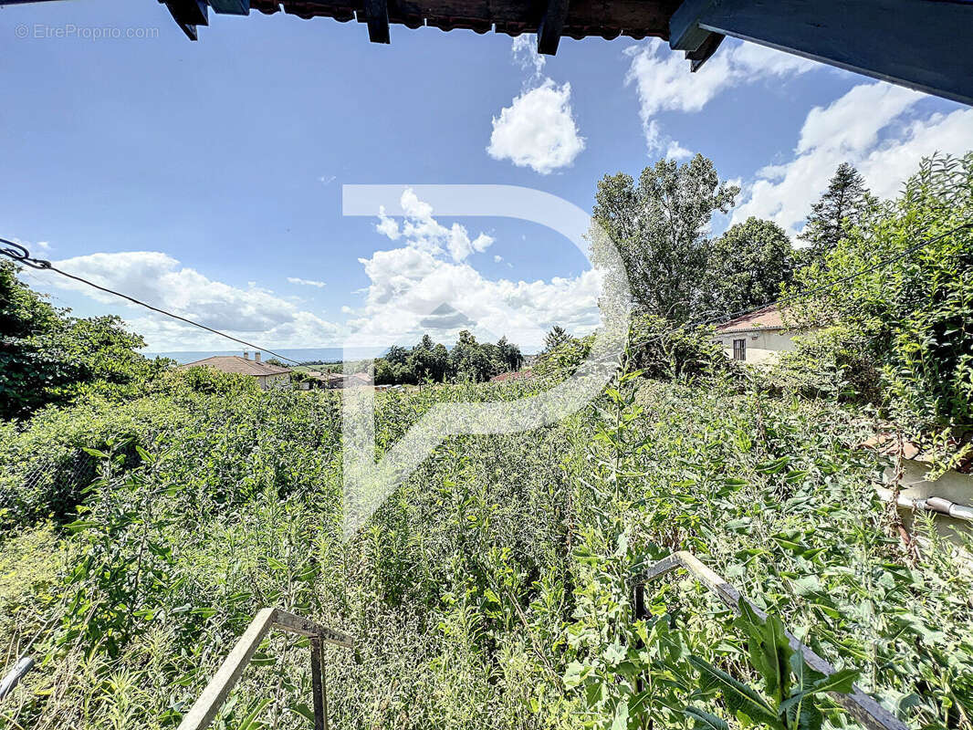 Maison à SAINT-MARTIN-LESTRA