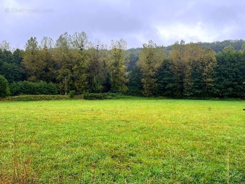 À vendre – Terrain constructible à Courdemanche (72150) – 3 175 m² en pleine nature, à 650 m des commodités - photo 6