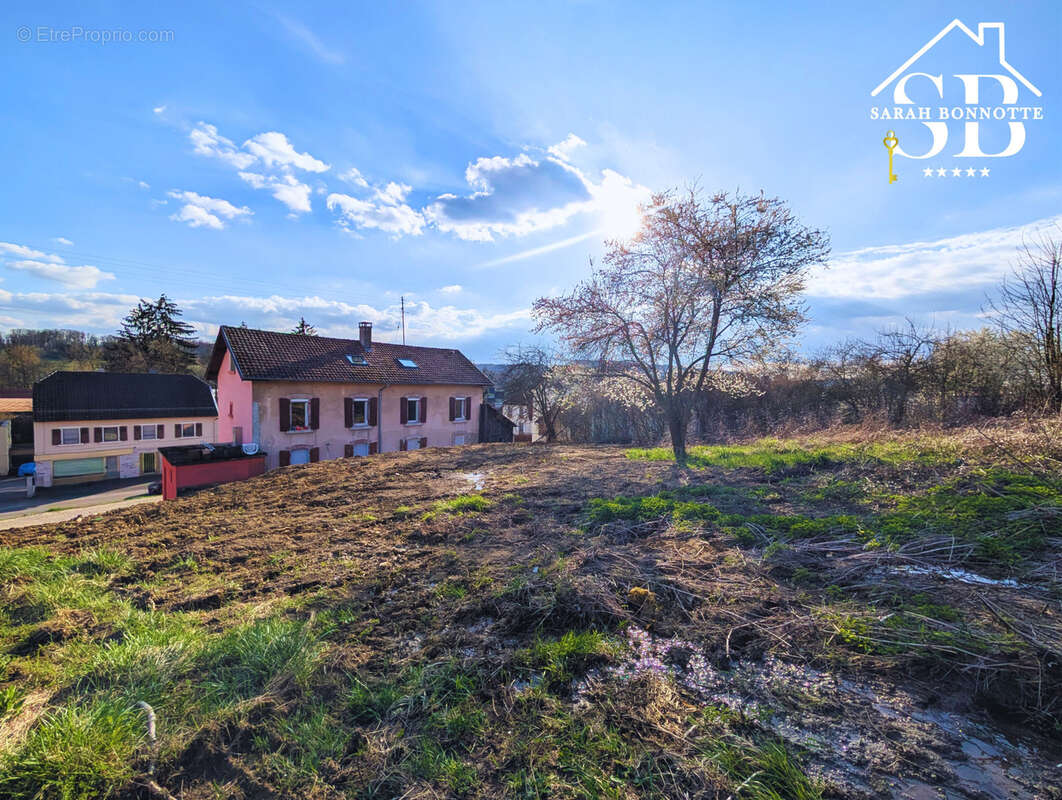 Terrain à WALDIGHOFEN
