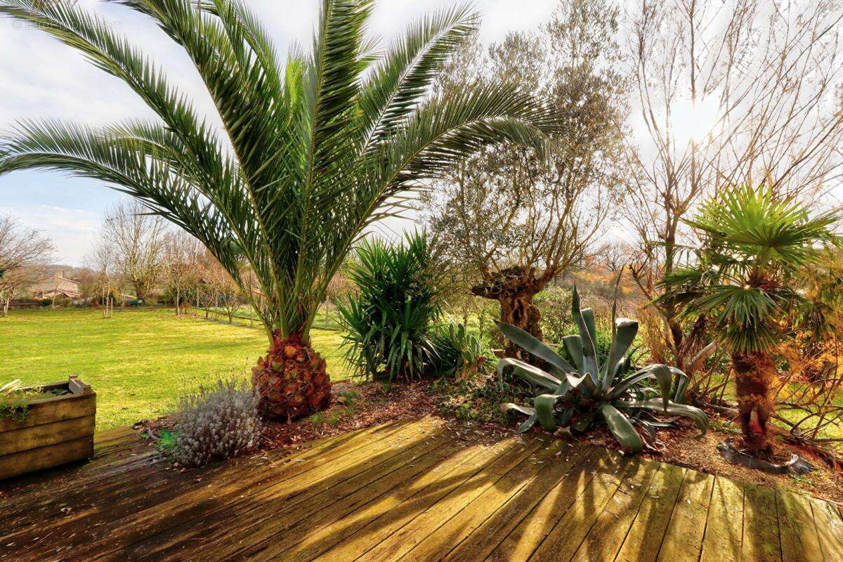 Maison à FAYE-SUR-ARDIN