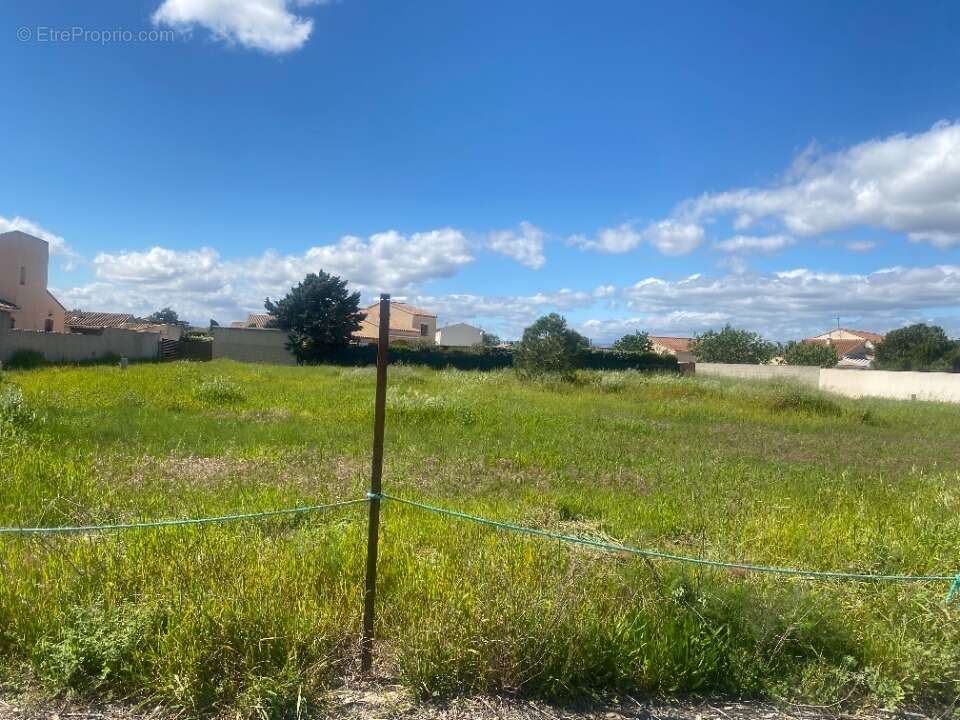 Terrain à SAINT-NAZAIRE-D'AUDE