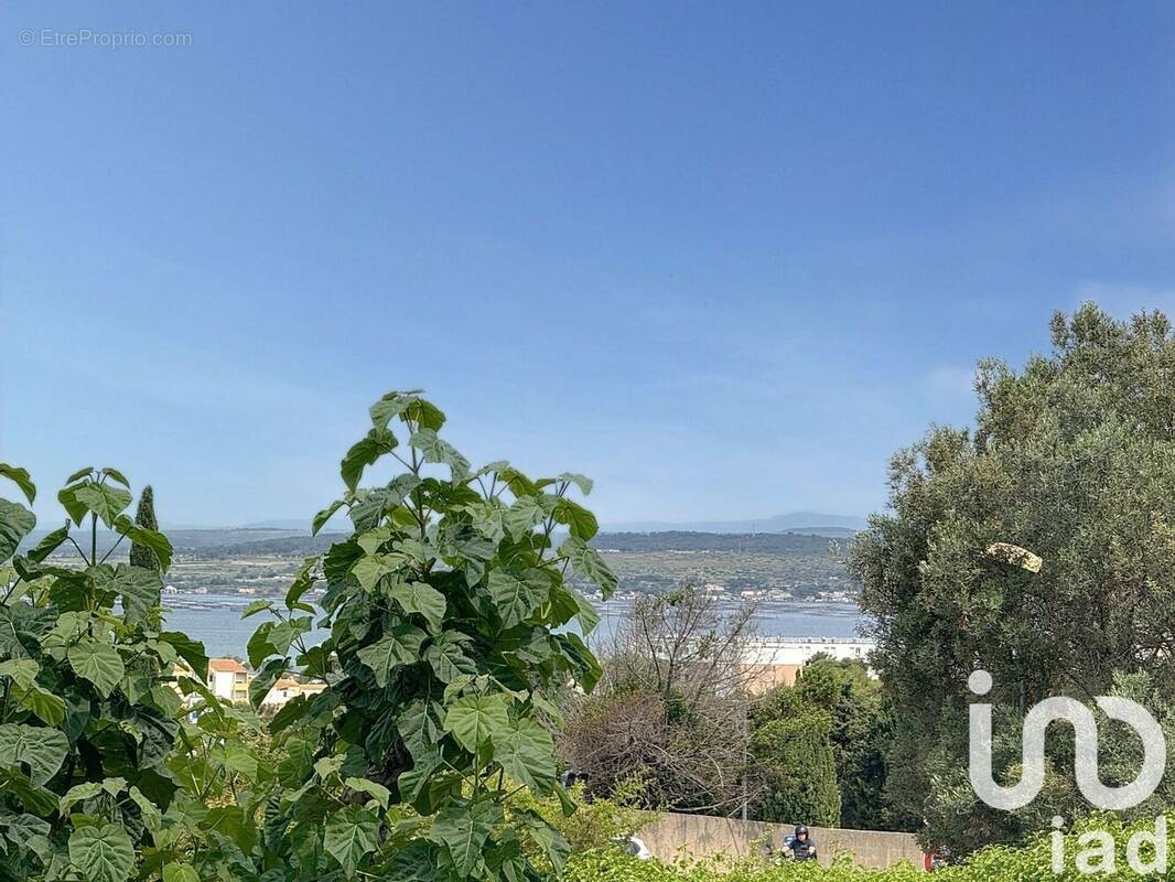 Photo 1 - Appartement à SETE