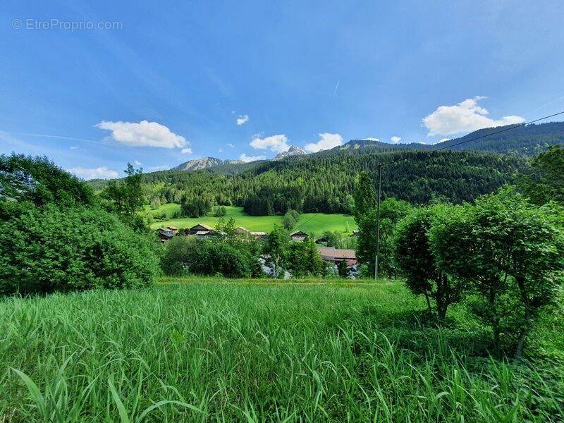 Terrain à ABONDANCE