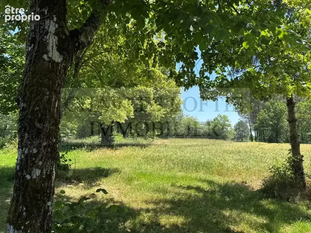 Ancien corps de ferme sur terrain de 6 ha - photo 7