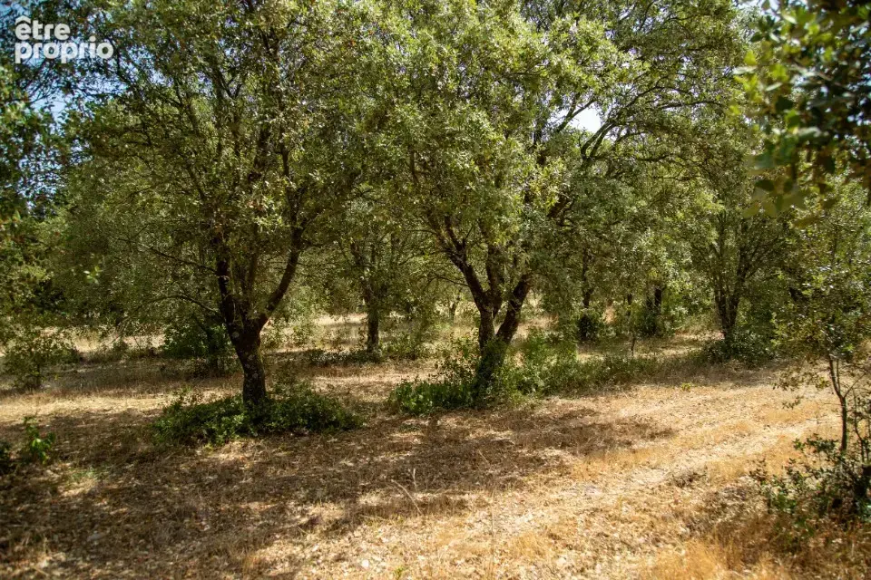 Terrain 751 m² à vendre à Grillon (84600) - photo 2