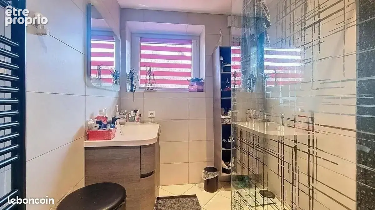 Maison 7 pièces 252 m² à vendre à Vesoul (70000) - photo 4