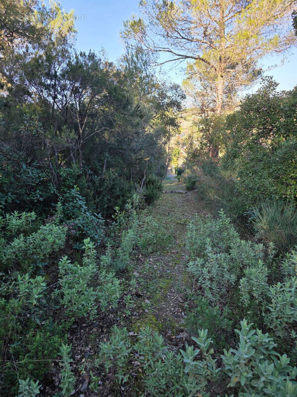 Terrain à PIERREFEU-DU-VAR