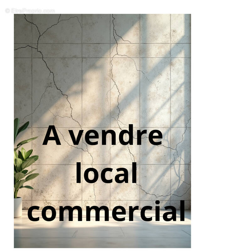 Commerce à LA ROCHE-SUR-YON