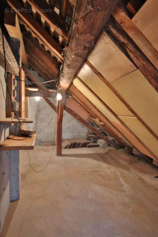 Maison à LA ROCHE-SUR-FORON