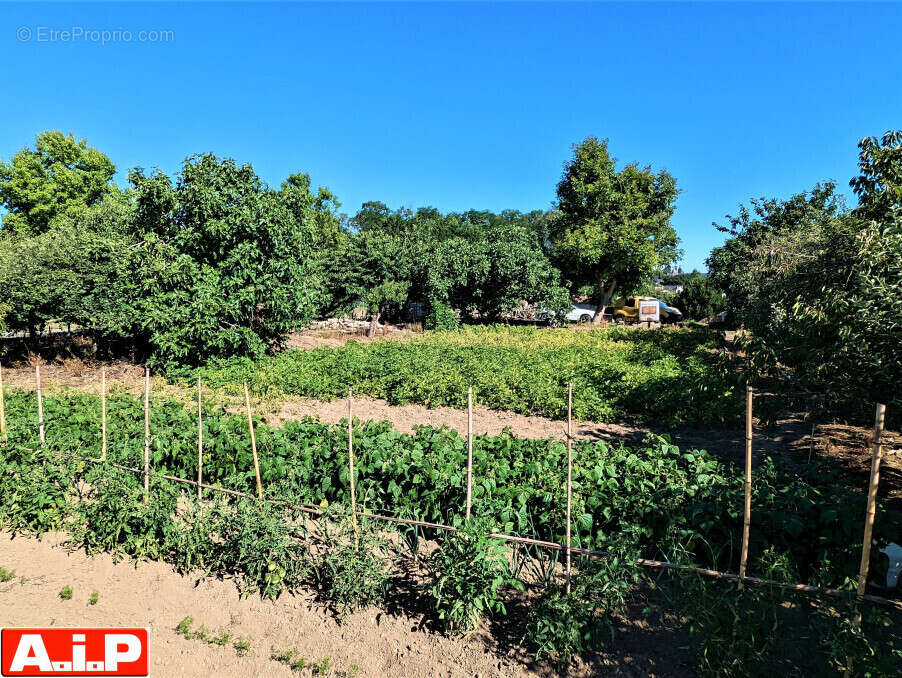 Terrain à CERIZAY