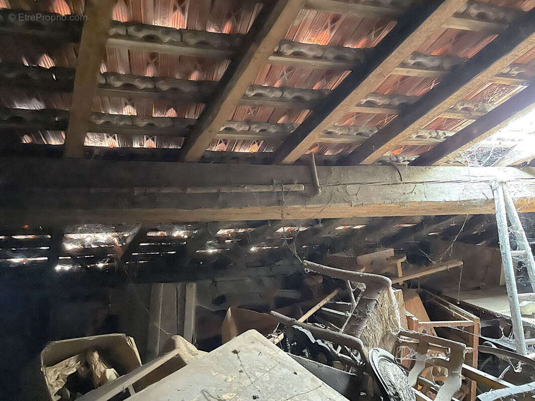 Photo 9 - Maison à CHATILLON-LA-PALUD