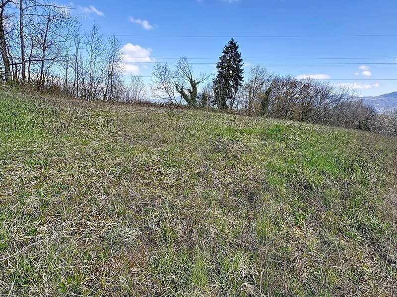 Terrain à LA ROCHE-SUR-FORON