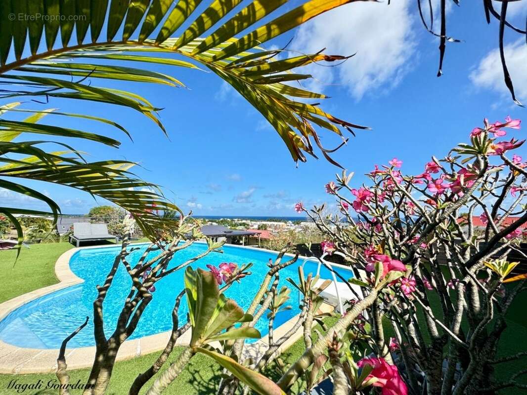 A vendre - propriete d'exception avec vue mer et potentiel locatif remarquable - sainte anne - photo 7
