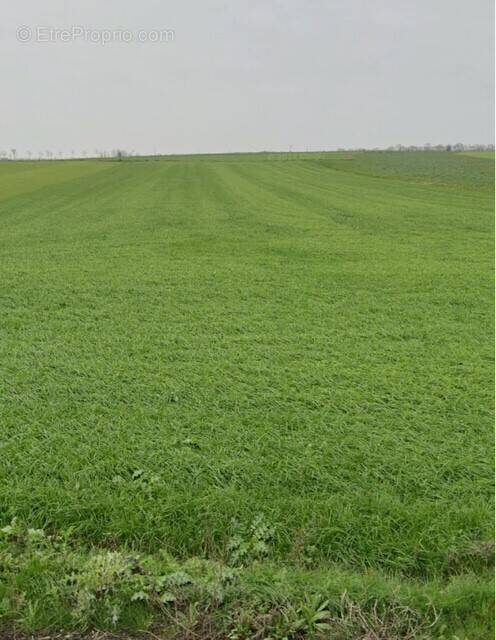 Terrain à VILLEDOUX