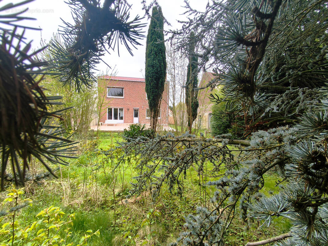 Maison à HENIN-BEAUMONT