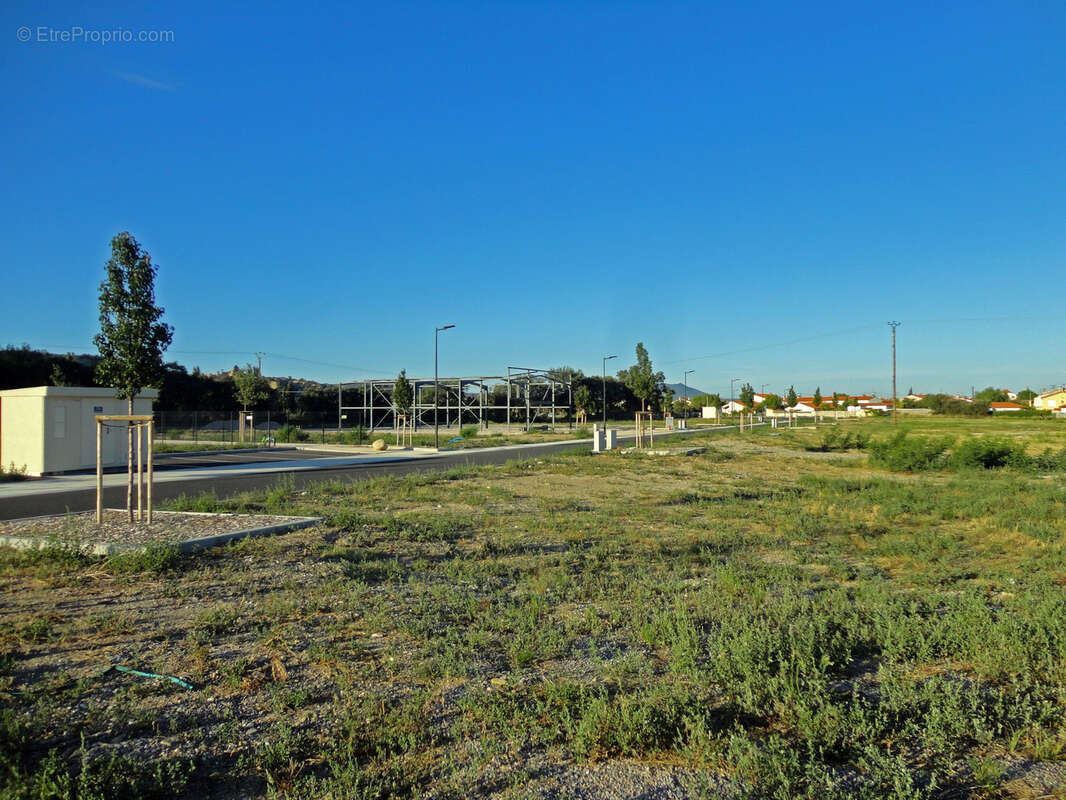 Dpt Pyrénées Orientales (66), à vendre ILLE SUR TET terrain constructible 9600m², plat, vaibilisé - photo 4