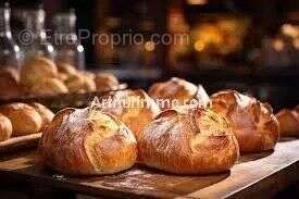 Commerce à LE HAVRE