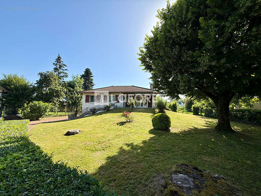 Maison à CHATILLON-SUR-CHALARONNE