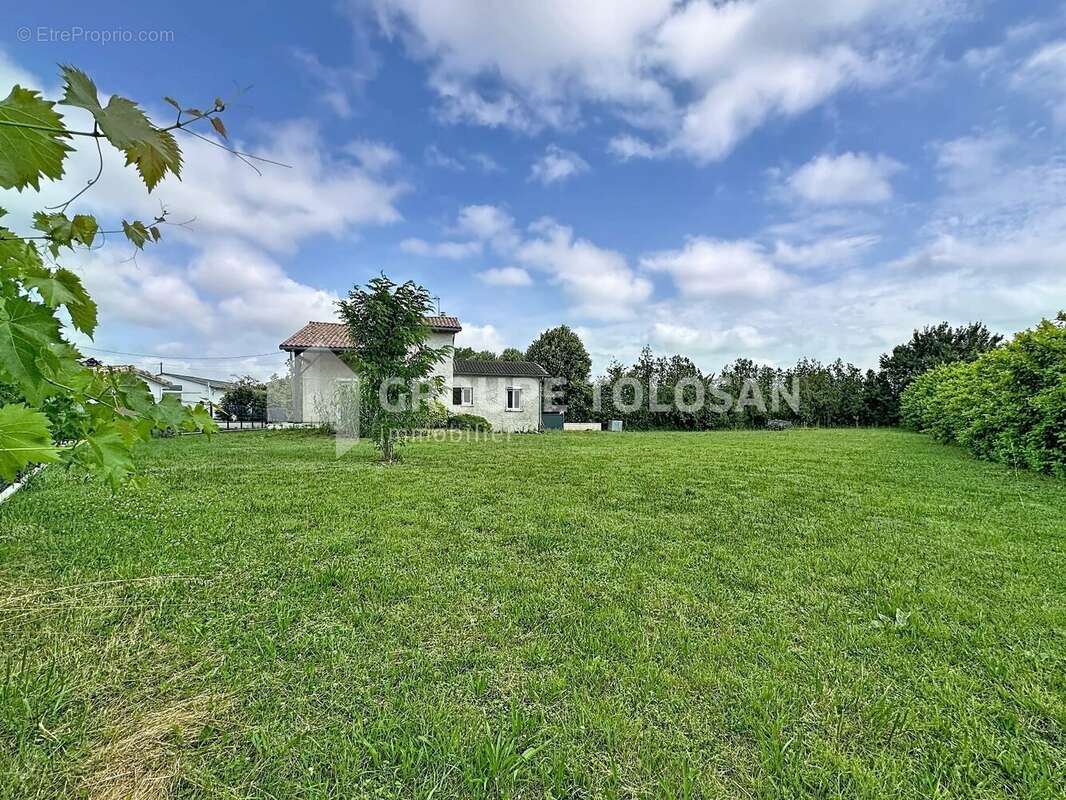 Maison 118 m² à Lisle-Sur-Tarn  - photo 18