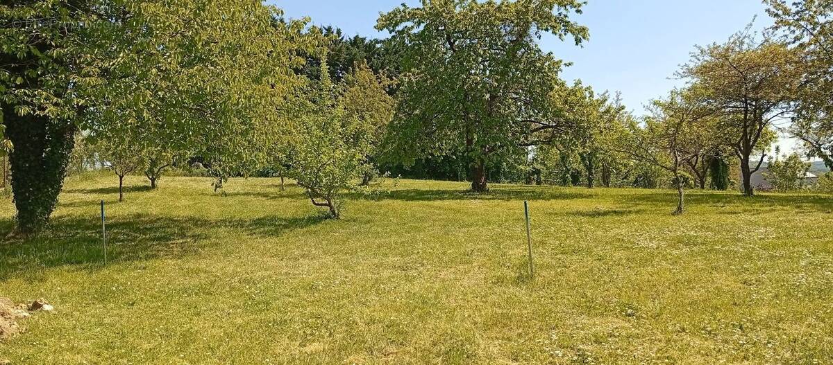 Terrain à BUCY-LE-LONG